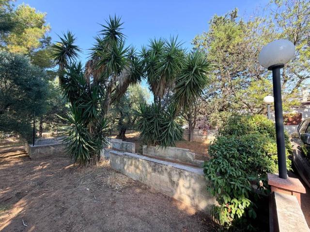 Villa in vendita a Trani BT