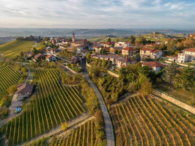 Villa in vendita a Treiso CN