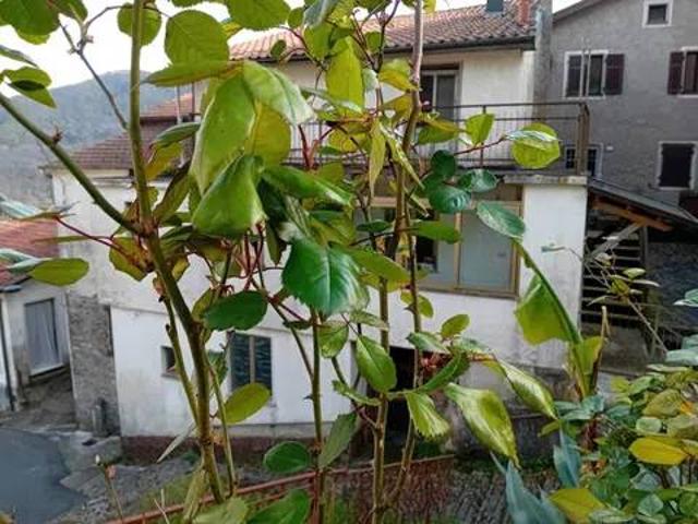 Villa in vendita a Tresana MS