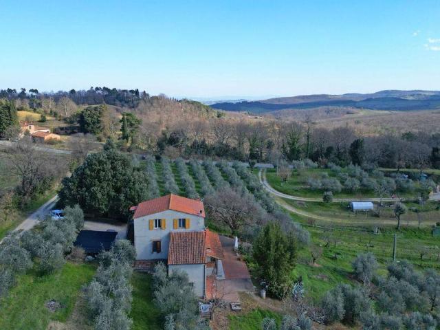 Villa in vendita a Trequanda SI