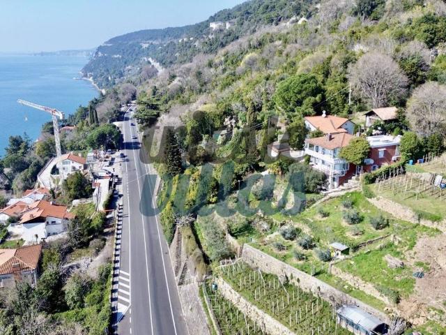Villa in vendita a Trieste TS