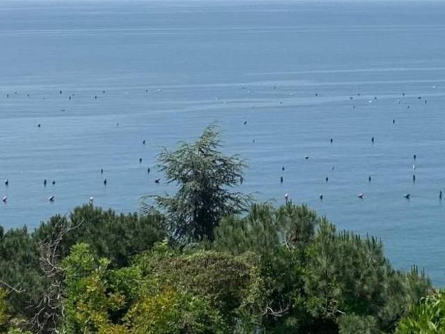 Villa in vendita a Trieste TS