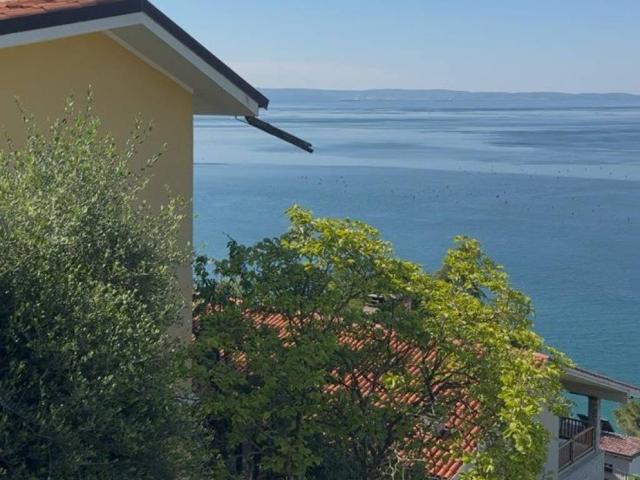 Villa in vendita a Trieste TS