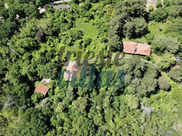 Villa in vendita a Trieste TS