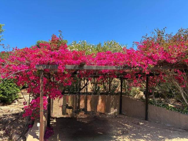 Villa in vendita a Trinità d'Agultu e Vignola OT