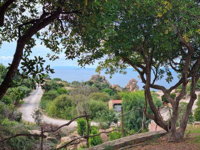 Villa in vendita a Trinità d'Agultu e Vignola OT