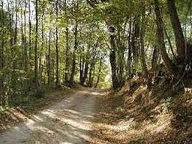 Villa in vendita a Volpago del Montello TV