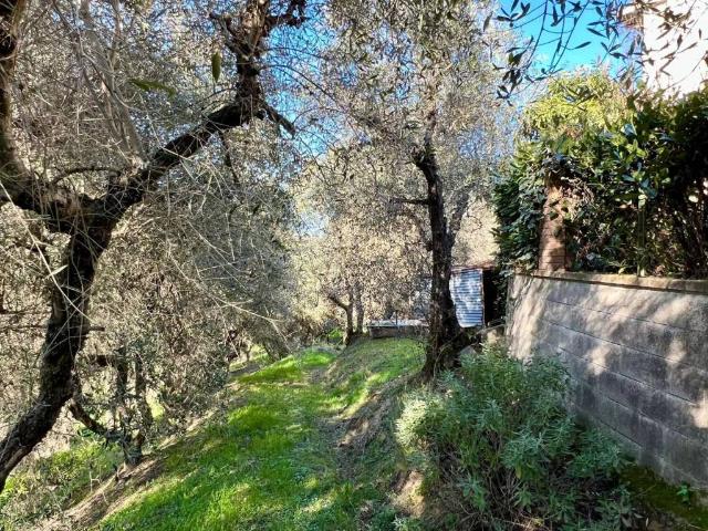 Villa in vendita a Volterra PI