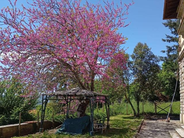 Villa in vendita a Vaglia FI