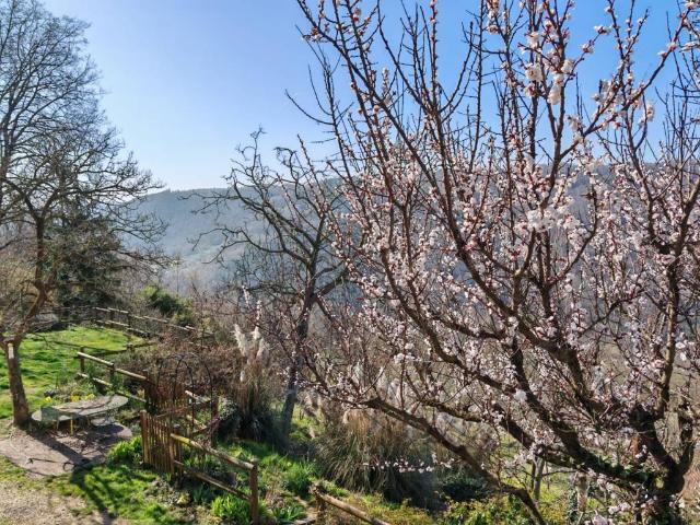 Villa in vendita a Val Liona VI