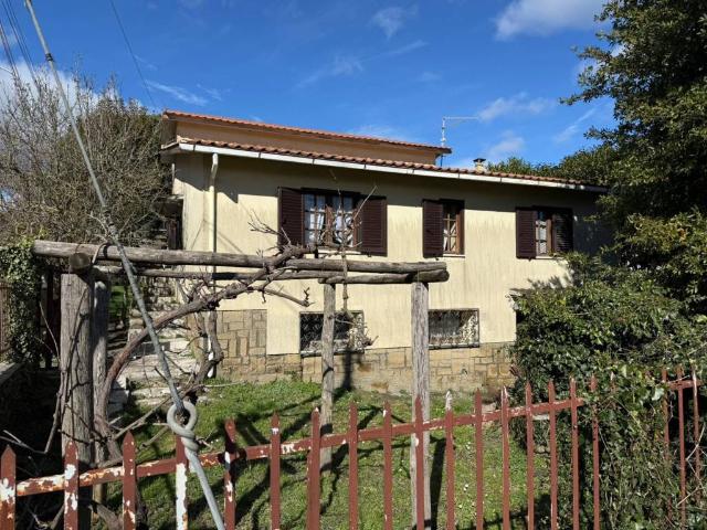 Villa in vendita a Valentano VT