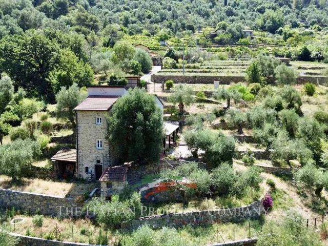 Villa in vendita a Vallebona IM