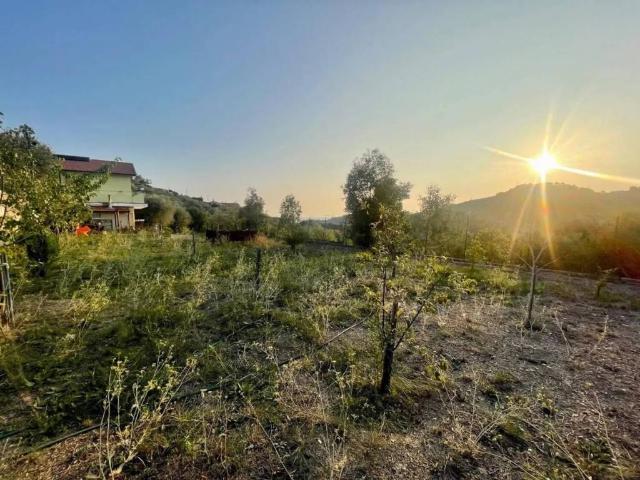 Villa in vendita a Vallebona IM