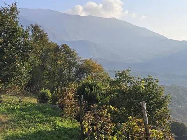 Villa in vendita a Valli del Pasubio VI