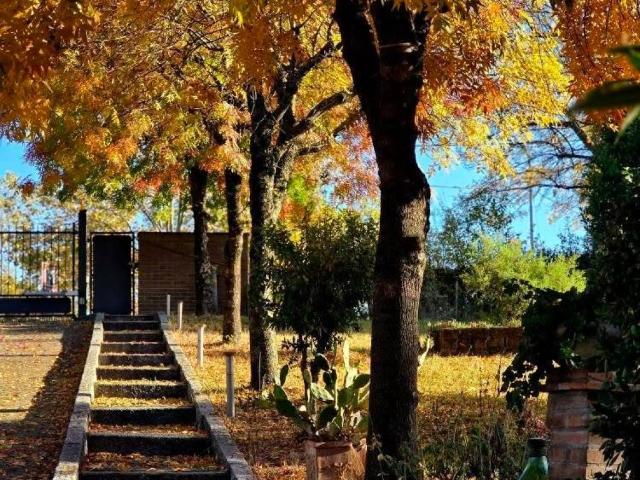 Villa in vendita a Valsamoggia BO