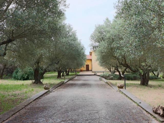Villa in vendita a Vetralla VT