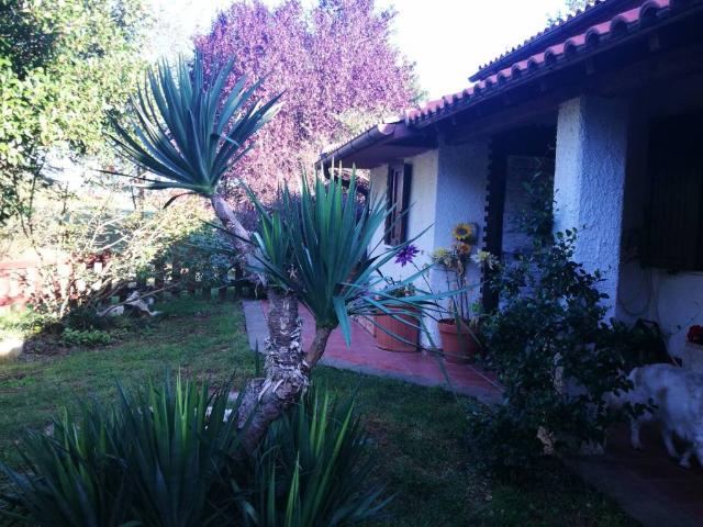 Villa in vendita a Vetralla VT