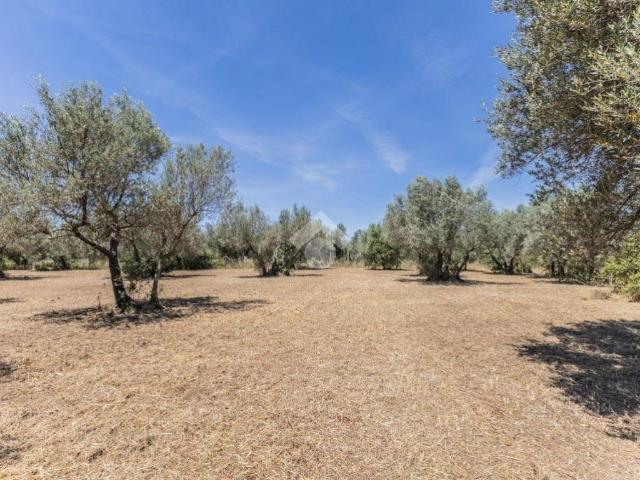 Villa in vendita a Vetralla VT