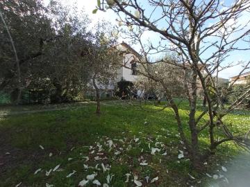Villa in vendita a Vecchiano PI