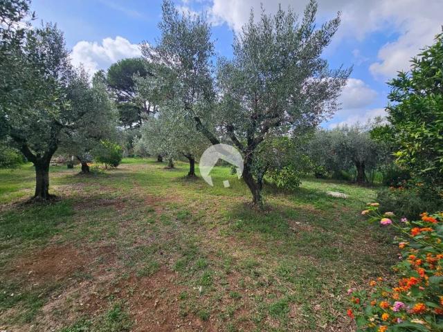 Villa in vendita a Velletri RM