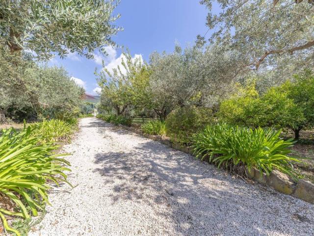 Villa in vendita a Velletri RM