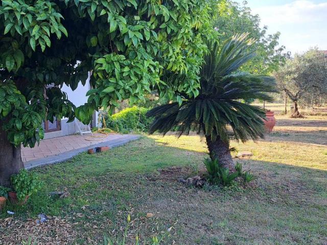 Villa in vendita a Velletri RM