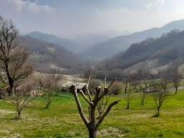 Villa in vendita a Ventasso RE