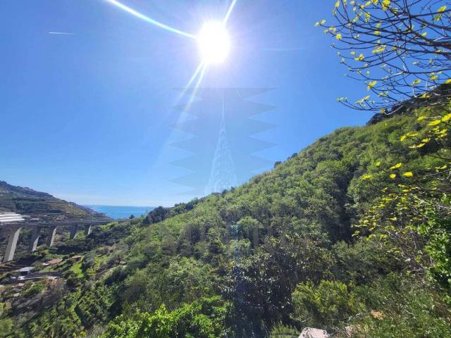 Villa in vendita a Ventimiglia IM