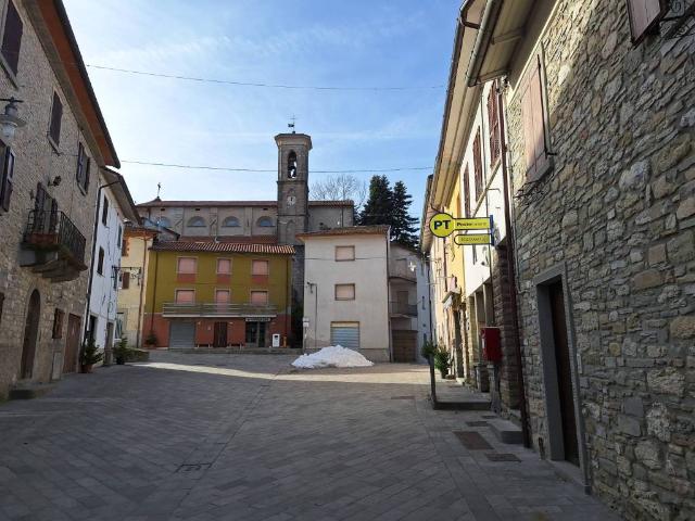 Villa in vendita a Verghereto FC