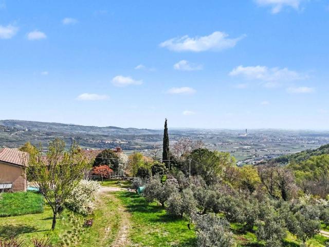 Villa in vendita a Verona VR