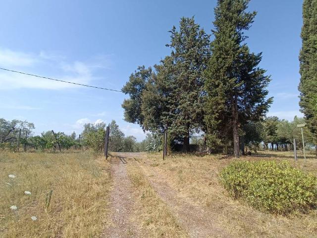 Villa in vendita a Viterbo VT