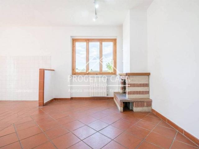 Villa in vendita a Viareggio LU