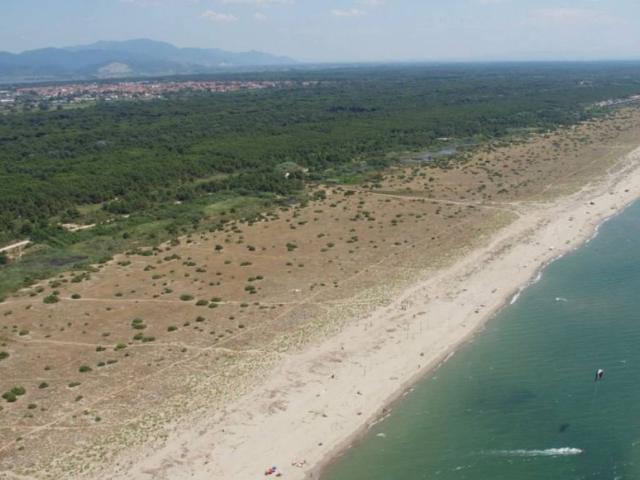 Villa in vendita a Viareggio LU