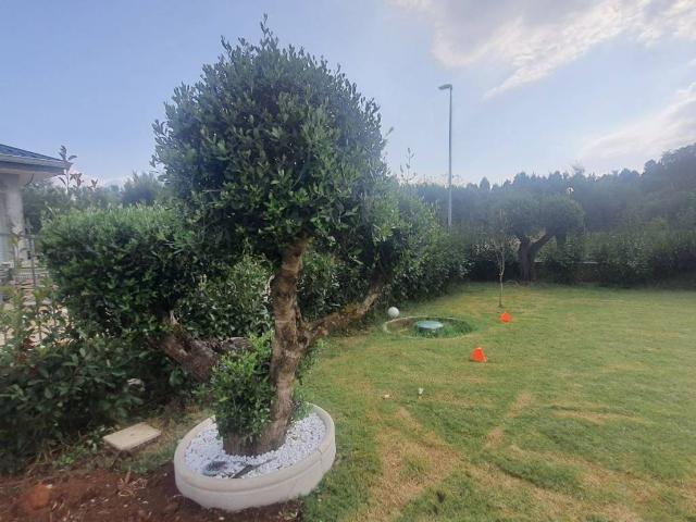Villa in vendita a Vibo Valentia VV