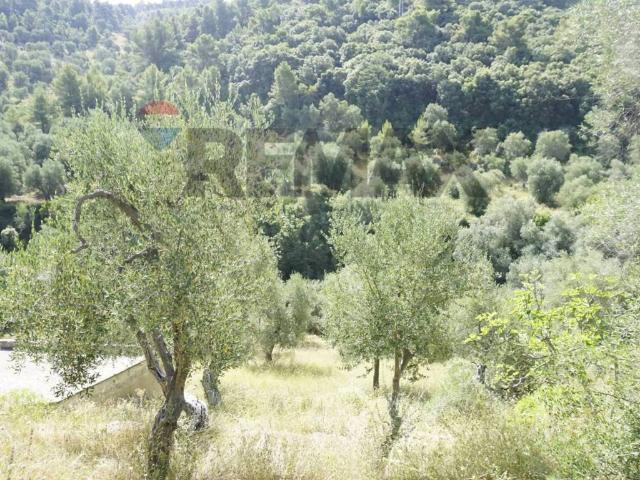 Villa in vendita a Vieste FG