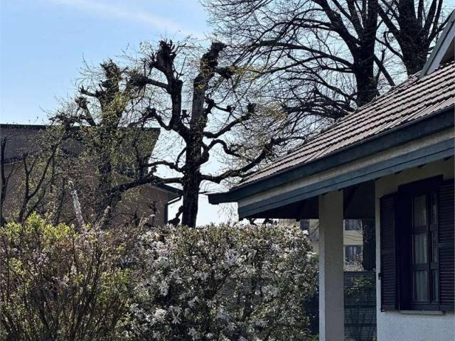 Villa in vendita a Vigevano PV