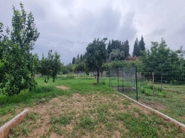 Villa in vendita a Villa San Giovanni RC