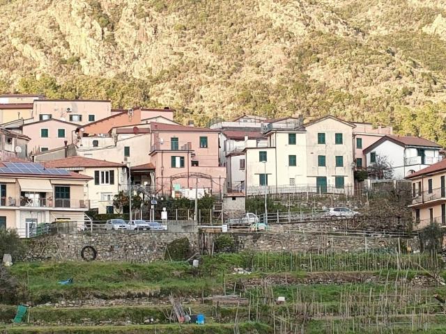 Villa in vendita in via cardini 52, Casarza Ligure