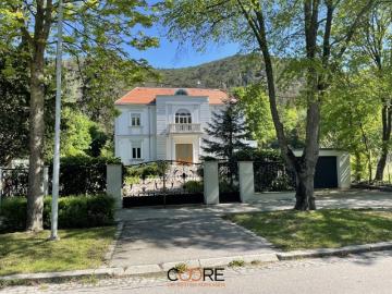 Villa in absoluter Grünruhelage im Helenenthal zu verkaufen
