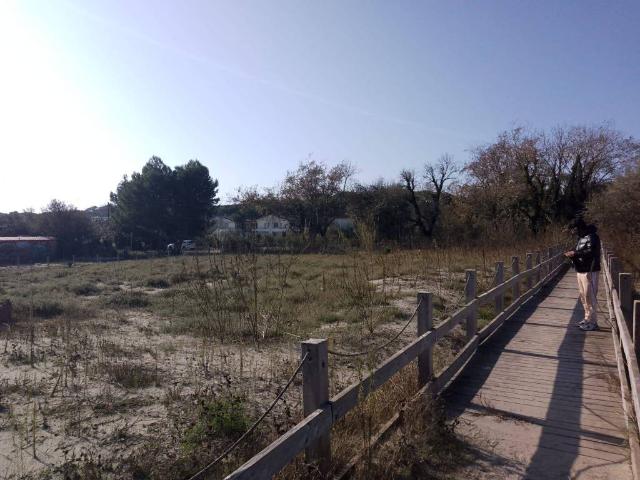 Villa in affitto a Comacchio FE