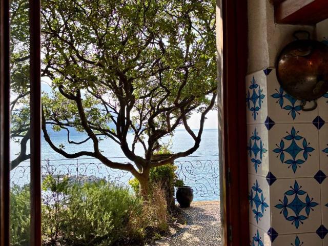 Villa in affitto a Camogli GE