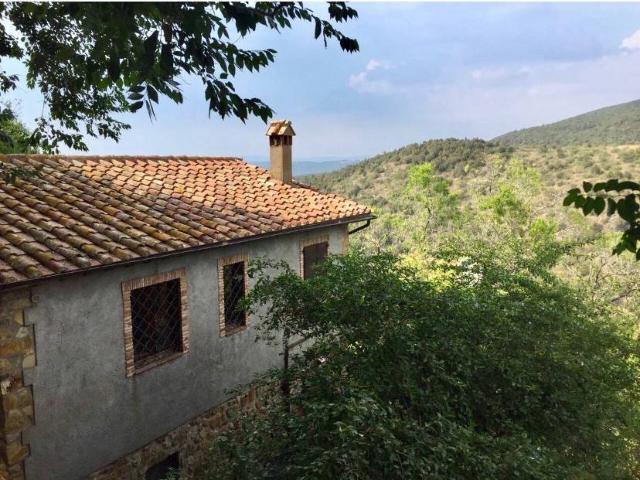 Villa in affitto a Capalbio GR