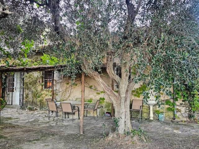 Villa in affitto a Capalbio GR