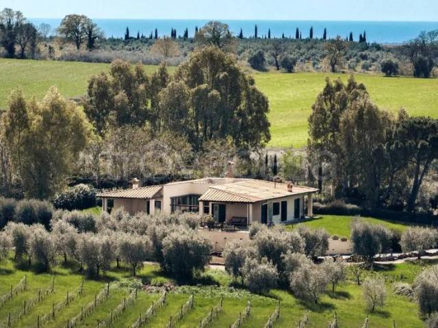 Villa in affitto a Capalbio strada Poggio la Pescia, arredato, giardino privato, posto auto TrovaCasa