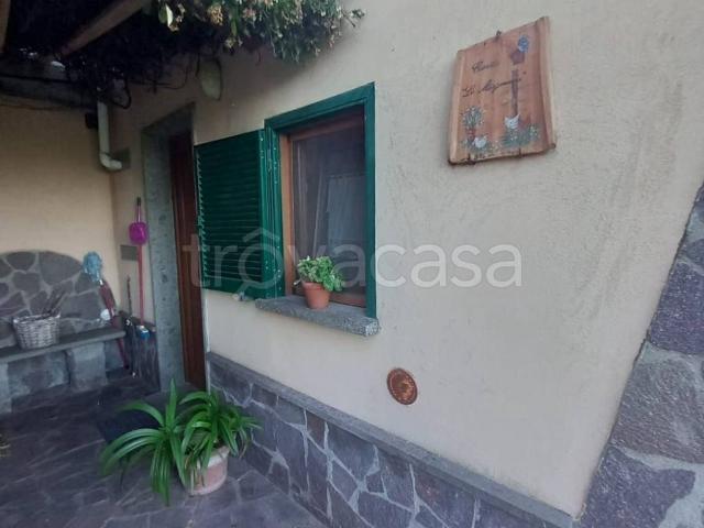 Villa in affitto a Capodimonte via Pontone, arredato, giardino privato, fronte lago TrovaCasa