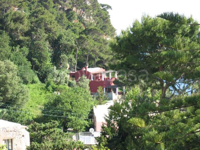 Villa in affitto a Capri via Mulo, arredato, giardino privato, terrazzo TrovaCasa