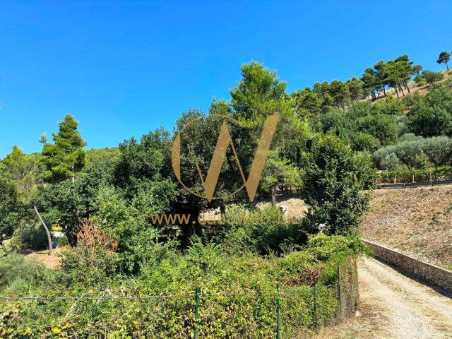 Villa in affitto a Caserta