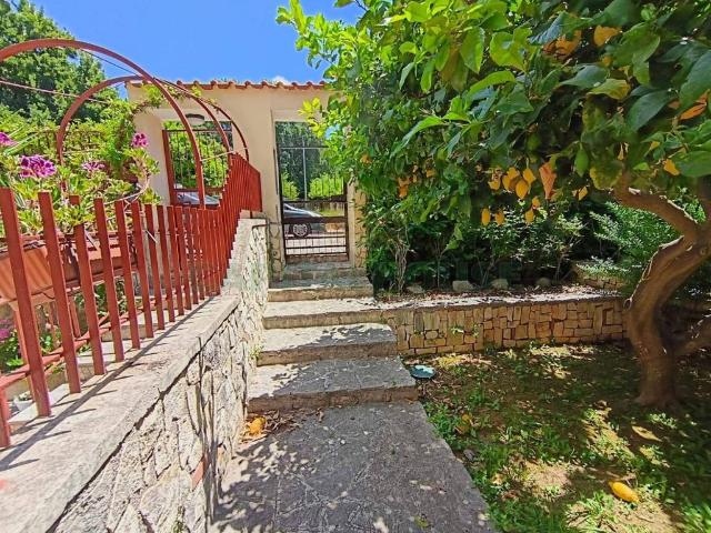 Villa in affitto a Caserta via Gregorio Mendel, non arredato/vuoto, giardino privato, posto auto TrovaCasa