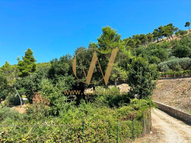 Villa in affitto a Caserta via Lupara, 1, arredato, giardino privato, posto auto TrovaCasa