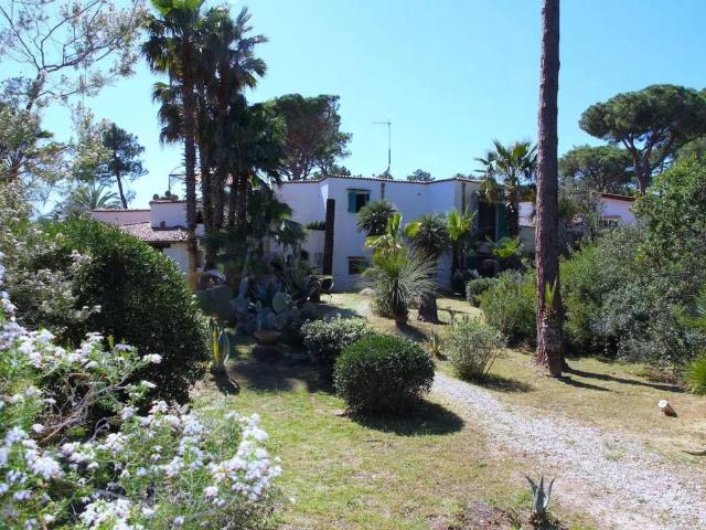 Villa in affitto a Castiglione della Pescaia GR